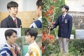 의구심을 춤고 챚을 찾으러~? ˝어하루˝