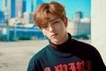 스트레이키즈… 우진의 탈퇴와 함께 그의 프로필도??