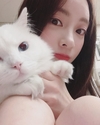 양정원의 SNS 속 근황을 살펴보니…‘집사가 많이 귀찮은가 보다’