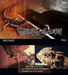 ‘노시보 효과’ 수염이었고 길이는...