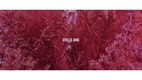 ‘⠀ 스텔라장 (feat.폴킴)⠀ [보통날의...’ 지난 4일 스텔라장의 인스타그램이 화제