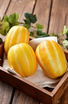 ‘참외 보관법과고르는법’ 영어로 코리안 멜론 Korean Melon 이라고 한다