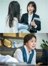 서현진 라미란을 비롯해 하준 이창훈 정해균 김홍파 블랙독