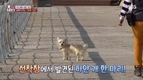 선착장에 도착한 관광객들을 스캔한 뒤…? '밍키'
