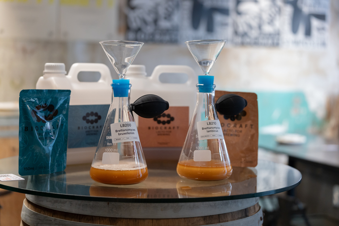 건강한 미래, 토종 효모가 해낸다! - 뉴스 썸네일 이미지