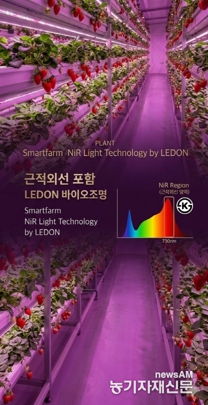 엘이디온, 식물조명 KS 적용 기술 확보... 스마트농업 광기술 협력 파트... - 뉴스 썸네일 이미지